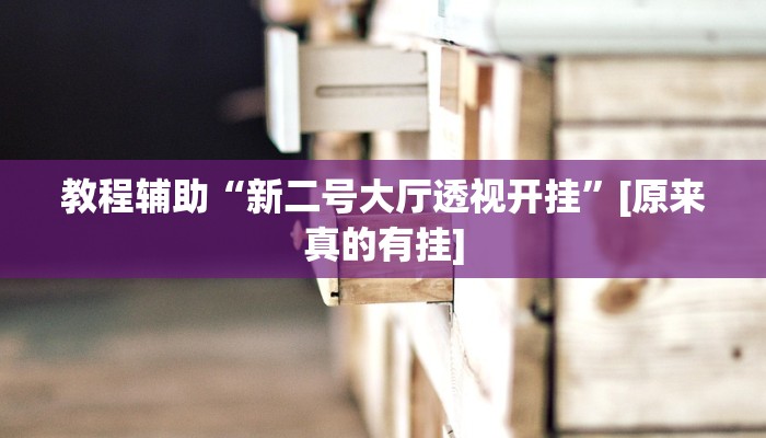 教程辅助“新二号大厅透视开挂”[原来真的有挂]