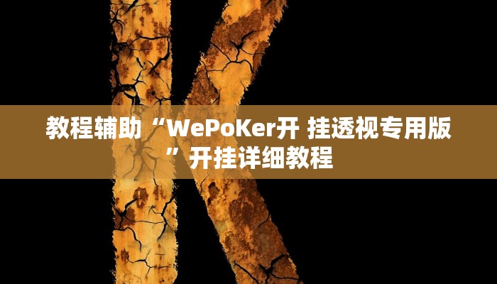 教程辅助“WePoKer开 挂透视专用版”开挂详细教程