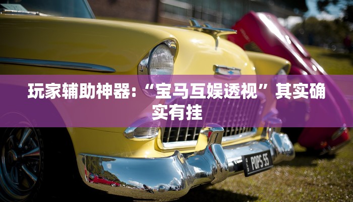 玩家辅助神器:“宝马互娱透视”其实确实有挂 玩家辅助神器:“宝马互娱透视”其实确实有挂