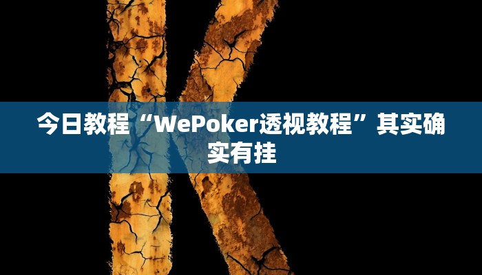 今日教程“WePoker透视教程”其实确实有挂