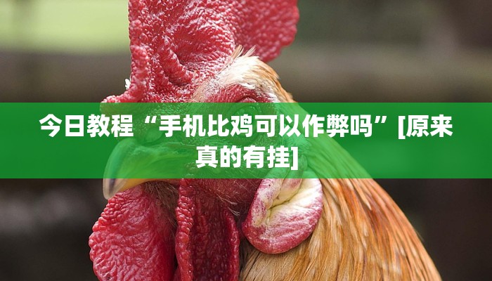 今日教程“手机比鸡可以作弊吗”[原来真的有挂]