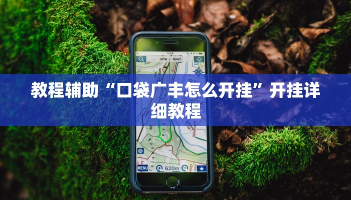 教程辅助“口袋广丰怎么开挂”开挂详细教程