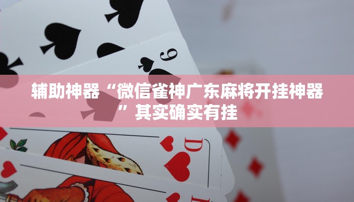 辅助神器“微信雀神广东麻将开挂神器”其实确实有挂