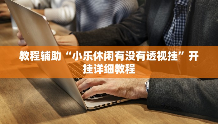 教程辅助“小乐休闲有没有透视挂”开挂详细教程