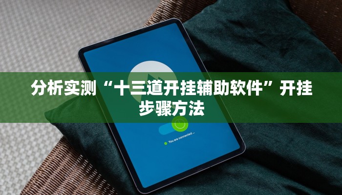 分析实测“十三道开挂辅助软件”开挂步骤方法