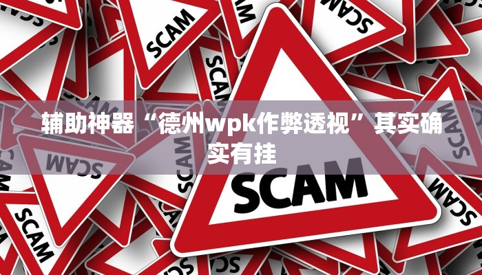 辅助神器“德州wpk作弊透视”其实确实有挂