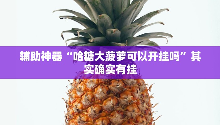 辅助神器“哈糖大菠萝可以开挂吗”其实确实有挂 辅助神器“哈糖大菠萝可以开挂吗”其实确实有挂