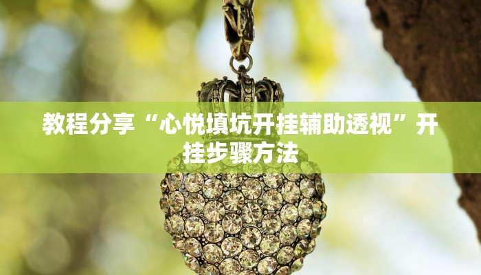 教程分享“心悦填坑开挂辅助透视”开挂步骤方法