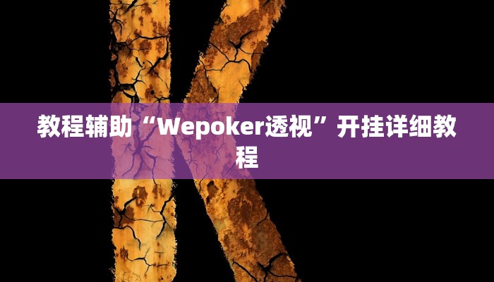 教程辅助“Wepoker透视”开挂详细教程 教程辅助“Wepoker透视”开挂详细教程