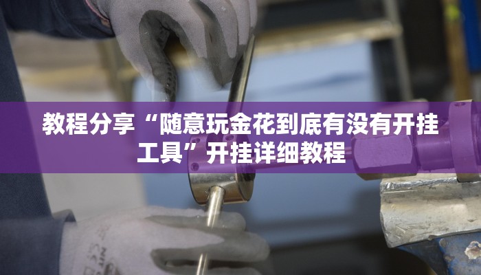 教程分享“随意玩金花到底有没有开挂工具”开挂详细教程