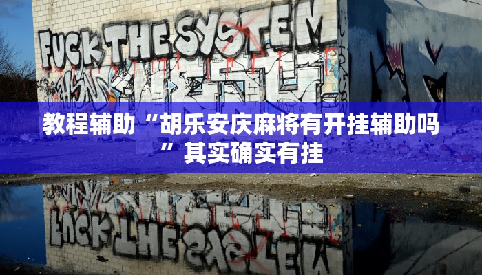 教程辅助“胡乐安庆麻将有开挂辅助吗”其实确实有挂