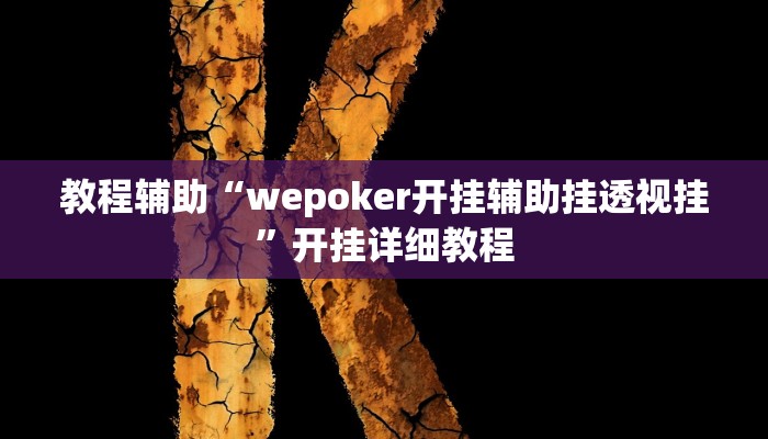 教程辅助“wepoker开挂辅助挂透视挂”开挂详细教程