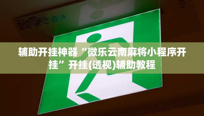 辅助开挂神器“微乐云南麻将小程序开挂”开挂(透视)辅助教程