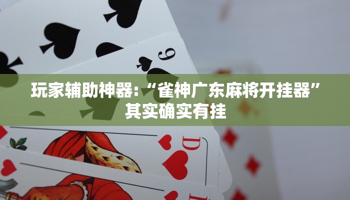 玩家辅助神器:“雀神广东麻将开挂器”其实确实有挂