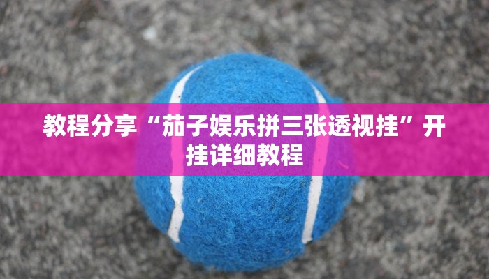 教程分享“茄子娱乐拼三张透视挂”开挂详细教程