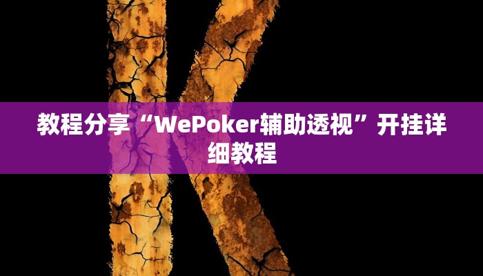 教程分享“WePoker辅助透视”开挂详细教程